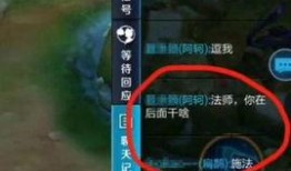 扁鹊最新爆料视频大全播放,揭秘中医养生秘籍与生活智慧