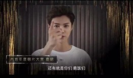 庄家欣爆料视频大全集最新,揭秘娱乐圈幕后真相